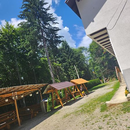 Cabana Valea Bradului Nucşoara 외부 사진