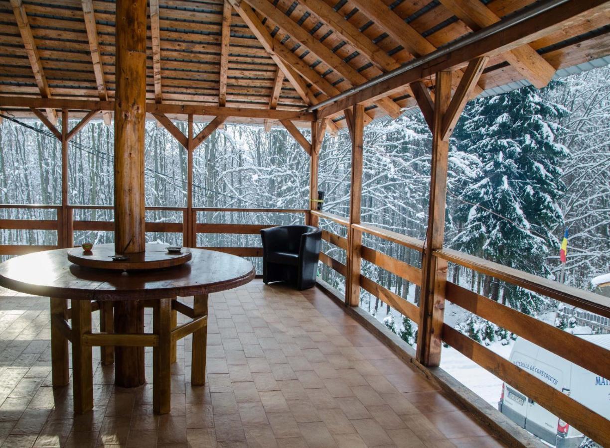 Cabana Valea Bradului Nucşoara 외부 사진