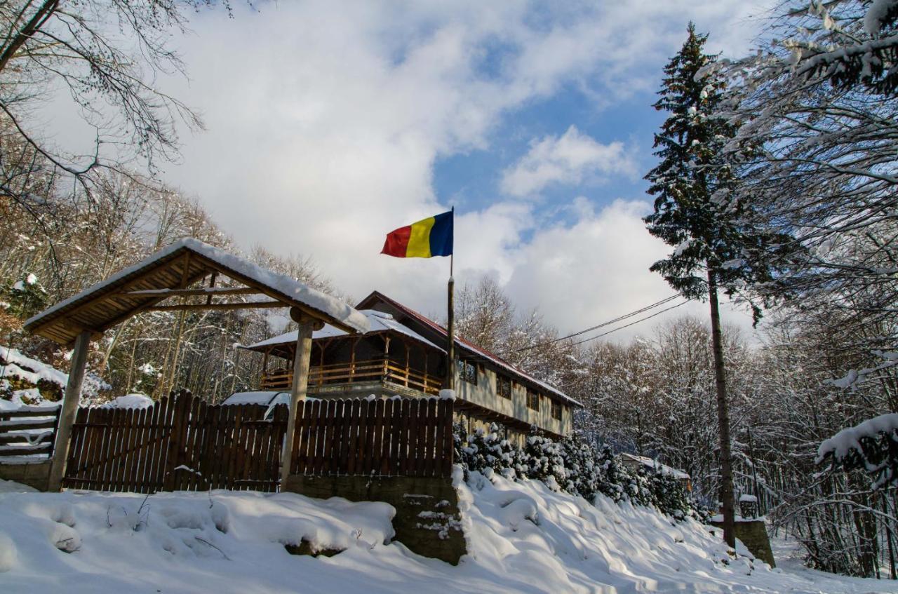 Cabana Valea Bradului Nucşoara 외부 사진
