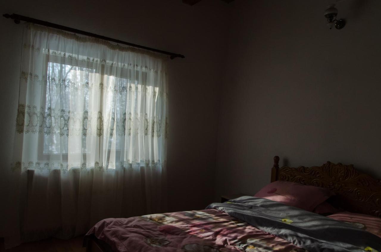 Cabana Valea Bradului Nucşoara 외부 사진