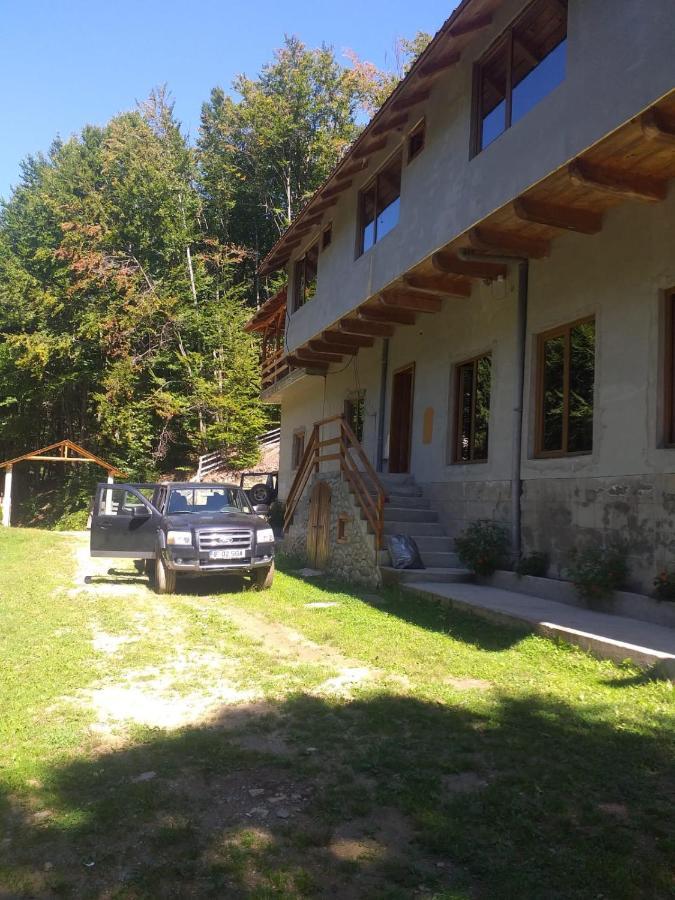 Cabana Valea Bradului Nucşoara 외부 사진