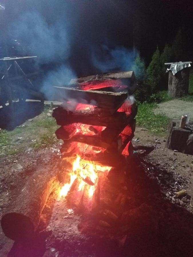 Cabana Valea Bradului Nucşoara 외부 사진