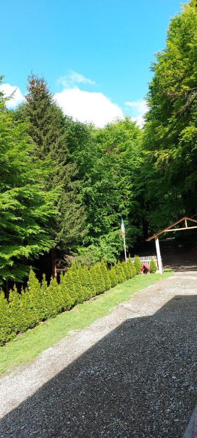 Cabana Valea Bradului Nucşoara 외부 사진
