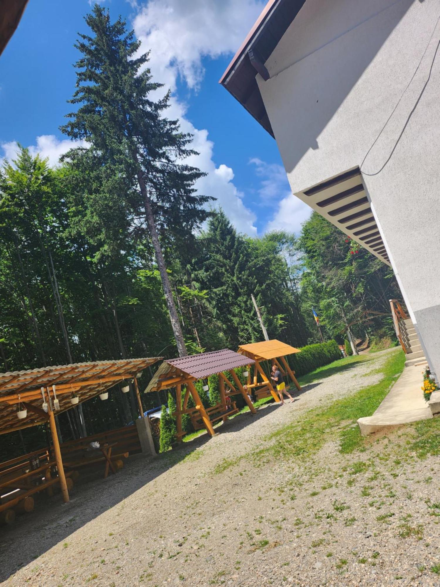 Cabana Valea Bradului Nucşoara 외부 사진